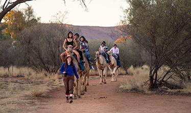 Camel ride