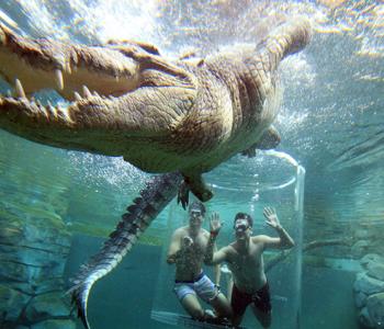Crocosaurus Cove