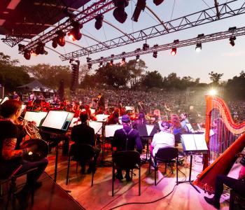 DSO Rock 2019
