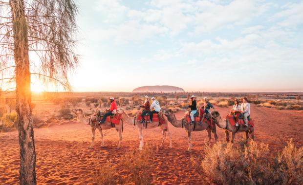 Red centre camel riding